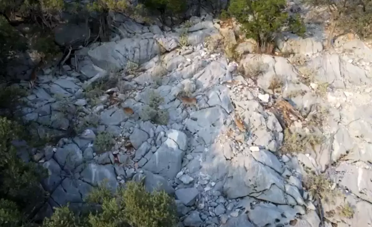 Eğirdir’de Kaçak Avcı Dronla Yakalandı