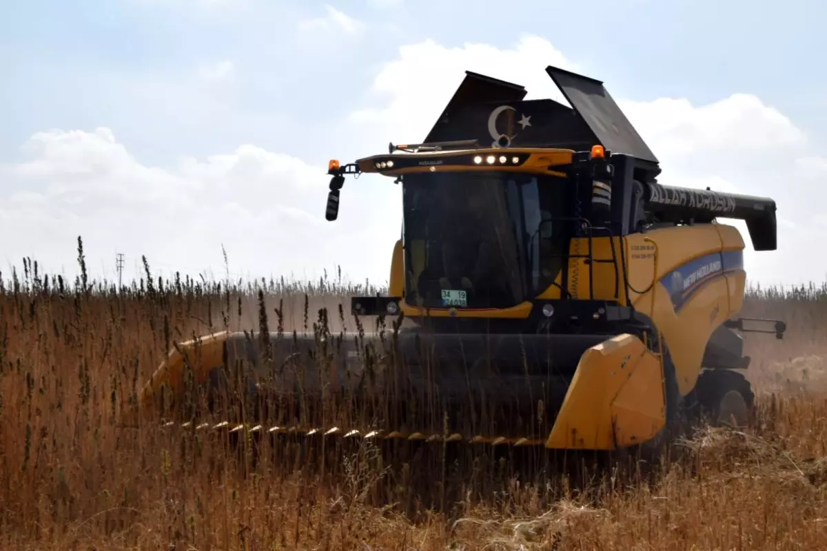 Konya’da Kenevir Hasadı Sevinci