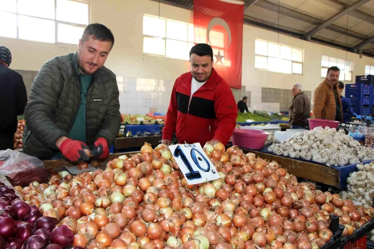 Amasya’da Soğan Fiyatları Sabit: 7 Aydır Kilosu 10 TL