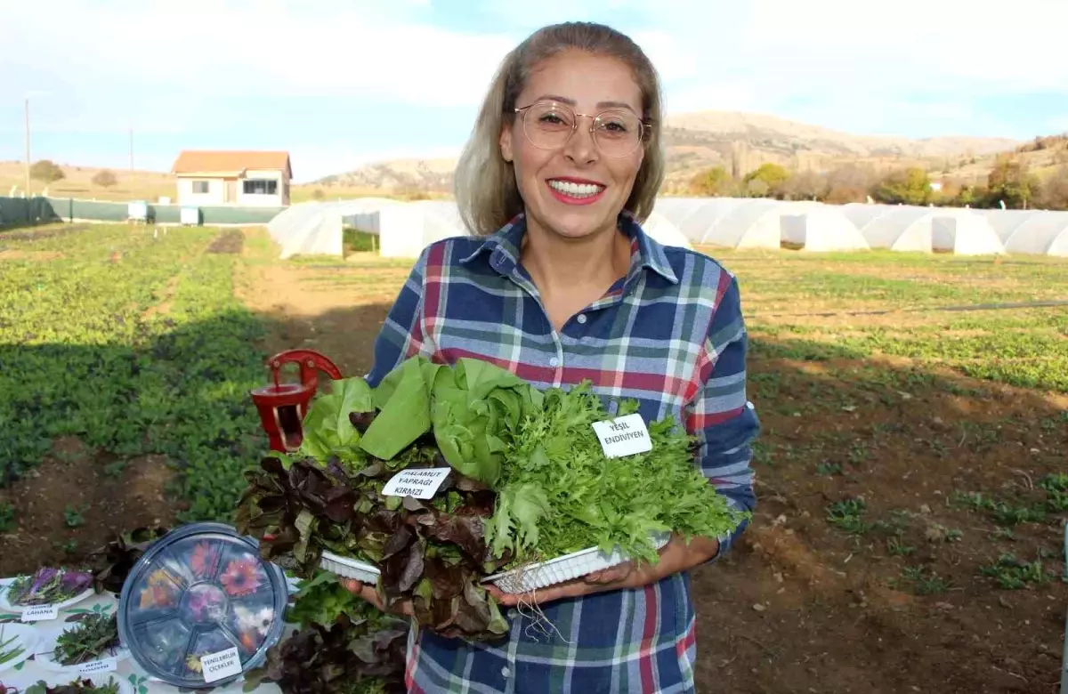 Amasya’dan Dünya Mutfağına Tohum Üretimi