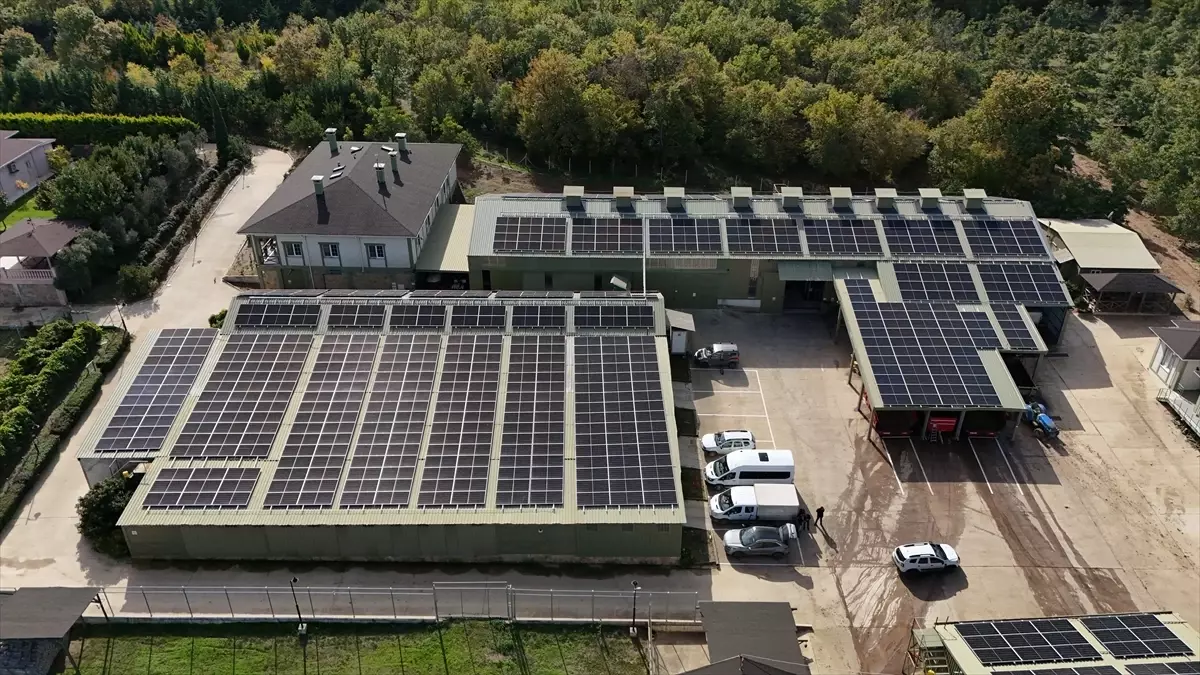 Güneş Enerjisiyle Ceviz Üretimi