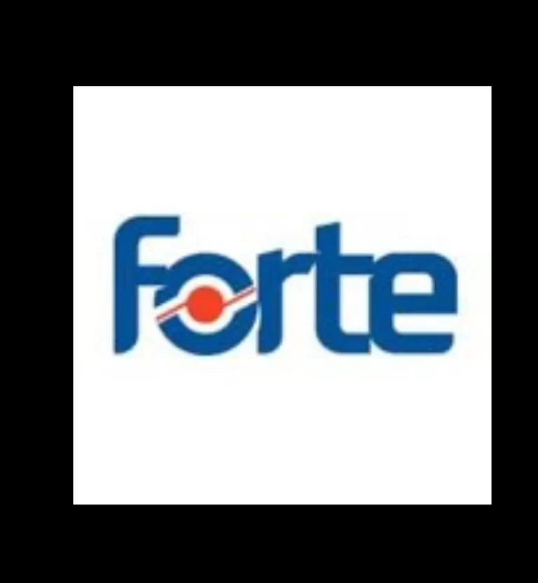 FORTE, E-DEVLET HİZMETLERİNİ KAPSAYAN 1,53 MİLYAR TL BEDELLİ BİLİŞİM İHALESİNİ KAZANDI
