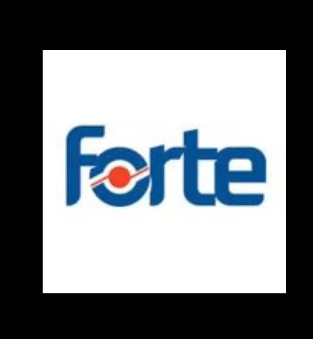 FORTE, E-DEVLET HİZMETLERİNİ KAPSAYAN 1,53 MİLYAR TL BEDELLİ BİLİŞİM İHALESİNİ KAZANDI