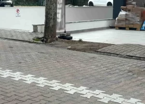 Çöpe atmak için yerden aldığı kargo poşetinin içinden 60 bin dolar çıktı